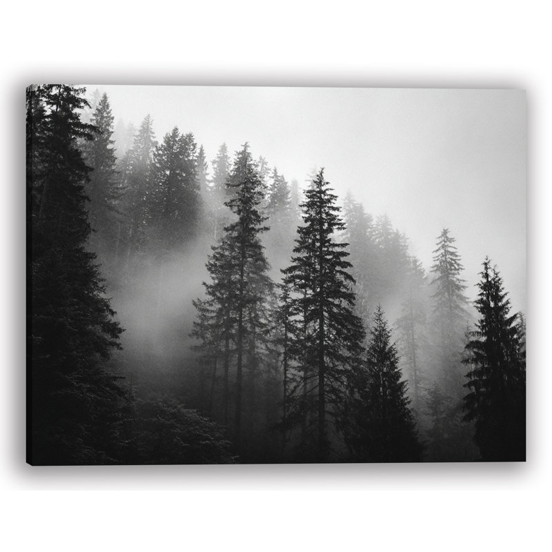 Art mural sur toile Misty Hillside Pines, H 12 po x l 16 po