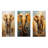 Elephant Symbolic Strength Dreams - Elephant Metal Prints Set Of 3-103228933