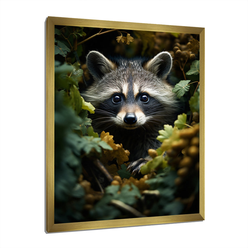 Curious Raccoon Collage VI - impression, H 40 po x l 30 po, Encadrement doré