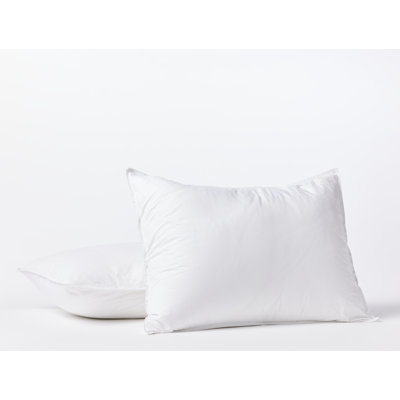 Organic Crinkled Percale Sham Set
