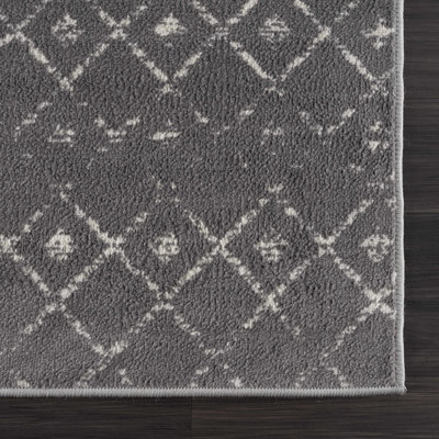 Dounia Southwestern Indoor Rug