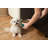 Ripple Ceramic Dog Bowl-1860232796-1860232787