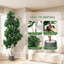 Ensemble de 2 arbres à figuier artificiel 7 pi, 2, 141 feuilles, jardinières grises, décoration d'intérieur