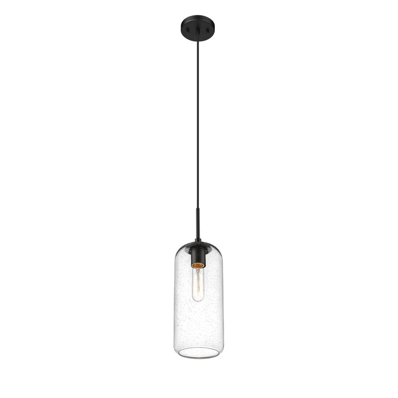 Luminaire suspendu 1 lumière Campos, Transparent, Noir mat, H 127 po x l 5,25 po x P 5,25 po