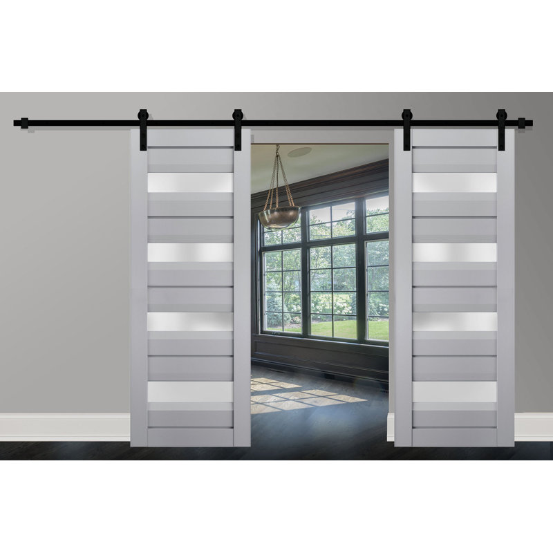 Portes de grange en bois givré Veregio, 48 po x 96 po, Gris