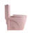 One Piece Toilet 1.1/1.60 GPF Dualflush, Watersaving Elongated Comfort Height Floor Mounted, Soft Close Seat, 1000 Gram Map Flushing Score Toilet, 23T01MB1-115824489