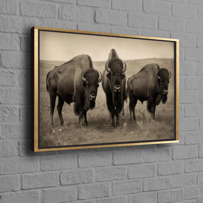 Print on Canvas