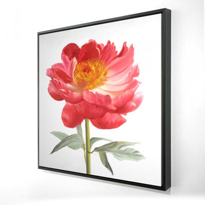 " Pink Peony "
