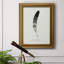 Found Feather I - Toile encadrée de qualité supérieure - prête à être accrochée-1600782013