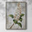 Impression encadrée FLORAL Series CCL - Bois massif-522533481