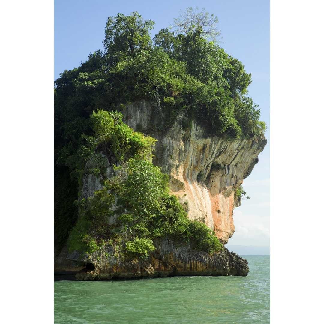 Tropische Vegetation auf Felsen von Nancy C. Ross - Kunstdrucke auf Leinwand ohne Rahmen