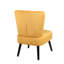 Trombly Velvet Slipper Chair-1432664453