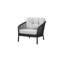 Ocean Large Lounge Chair with Cane-line Rope-235502442