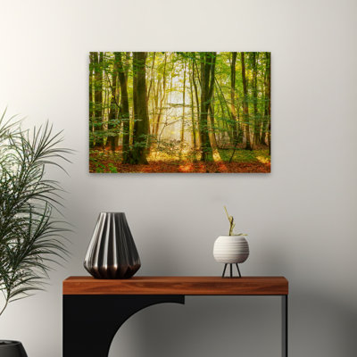Power Beam - Paysages, photographie, arbres, art