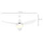 Ceiling Fan with LED Lights