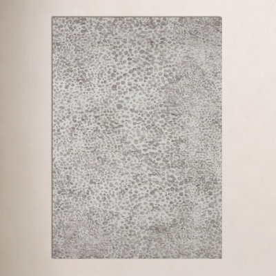 Crispin Silver Ivory Abstract Rug