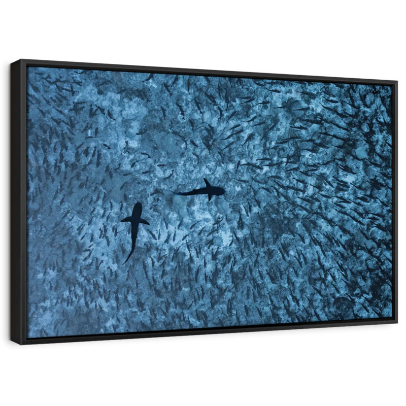 «Sharks and Fish Wall Art», H 9 po x l 13 po