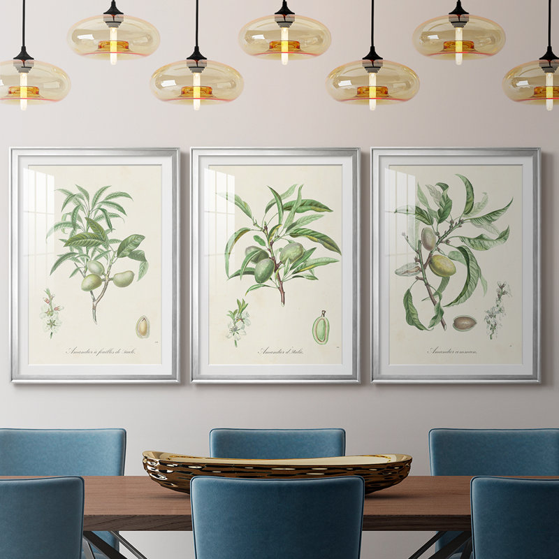 Antique Amande botanique II - reproduction sur mesure encadrée de qualité supérieure - 3 pièces, Argent argent