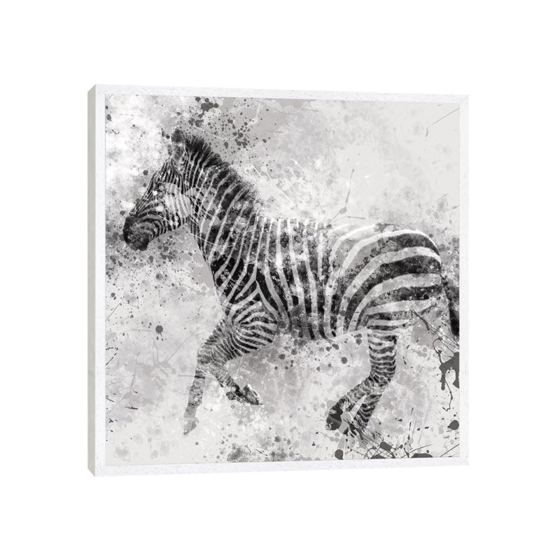 Zebra II by Carol Robinson - Print on Canvas, White Framed, 45.72 cm H x 45.72 cm W