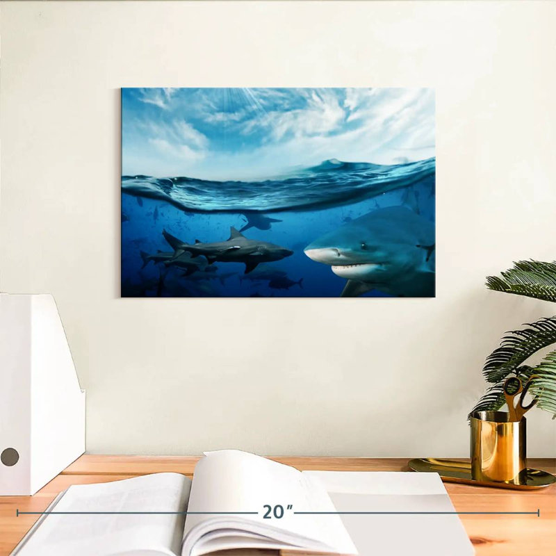 Shiver Of Sharks Sunshine, 8" H x 12" W