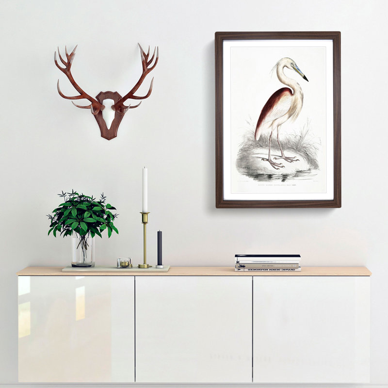 Maroon-Backed Heron by John Edward Gray - Framed Print, Walnut Framed, 65cm H x 48cm W x 2cm D