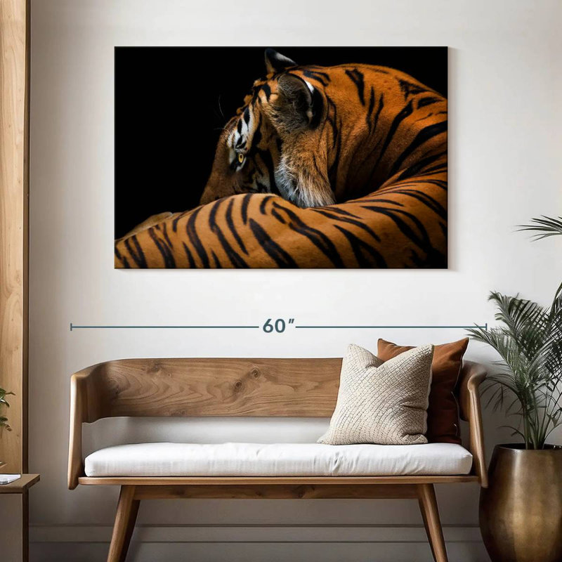 Tigre majestueux Brampt