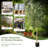 72'' Faux Olive Tree Tree in Pot
