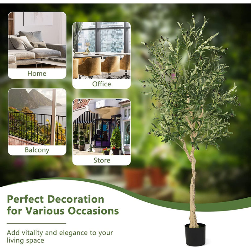 6 FT Tall Faux Olive Trees with Silk Leaves in Black Plastic Pots
