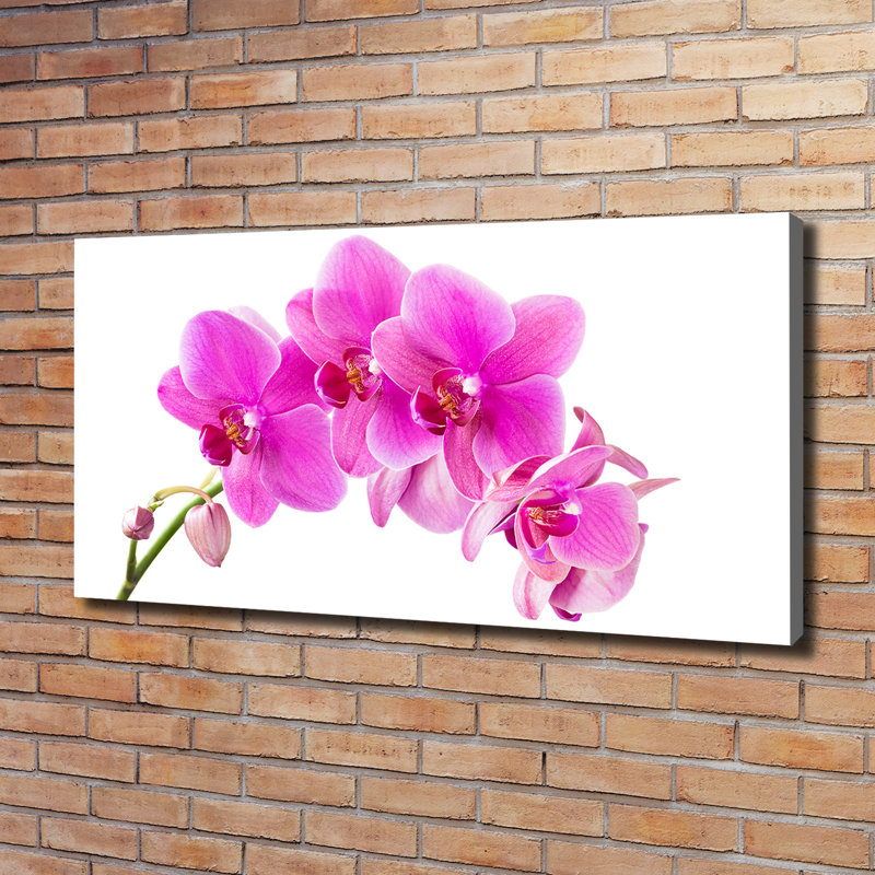 Pink Orchid 1 Piece Wrapped Canvas Wall Art