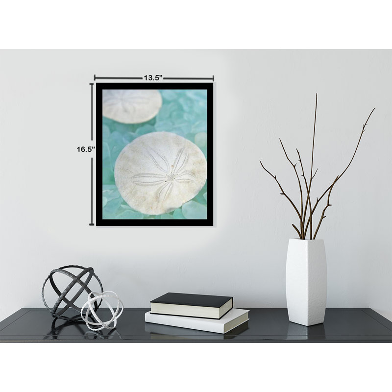 « mer 3 (dollar du sable) »-cadre photo, impression sur papier