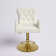 Rhett Swivel Upholstered Adjustable Height Counter Stool