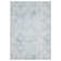 Ratiman Washable Indoor Rug
