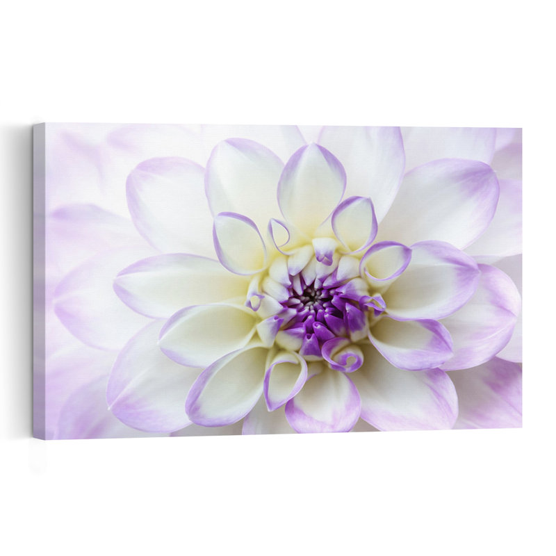 White Purple Dahlia Delicate Elegant Vibrant Dahlia Lavender Violet Flower Nature Wall Art Print 1 Piece Wrapped Canvas Wall Art