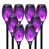 Purple sélectionné