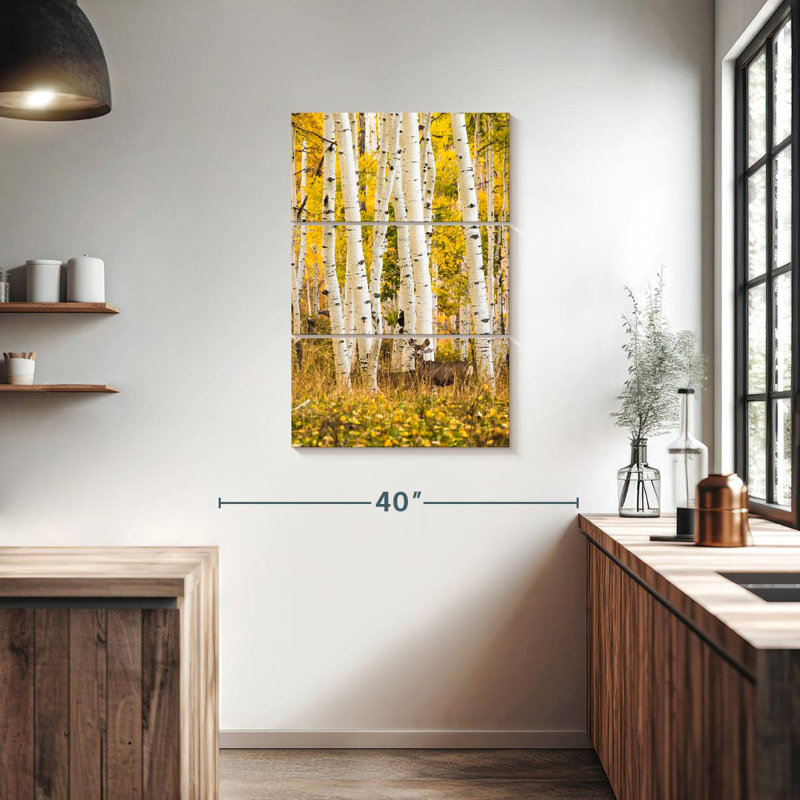 Alvord Aspen Tree Forest