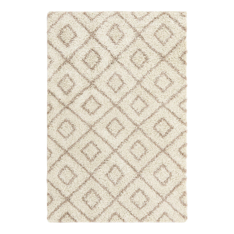 Geometric Indoor Rug
