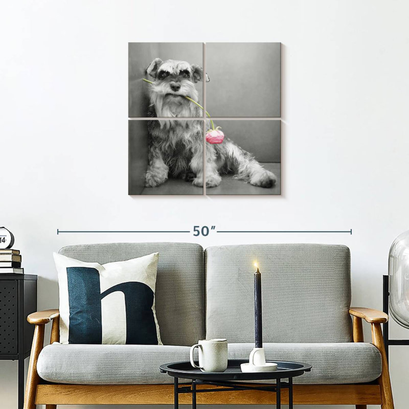 Brampt Ziggy BW, 26" H x 26" W