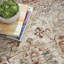 Hoch Persian Area Rug-252679528