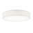 Raasch 1-Light LED Flush Mount-930126325-930126313