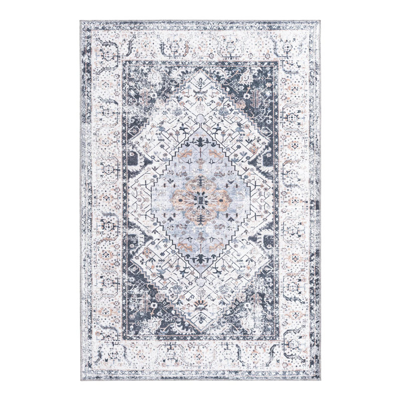 Oluremi Oriental Indoor Rug, Rectangle 4' x 6'