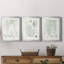 Verdure Ferns VII - ensemble de 3 reproductions d'art sur toile-67583532-67583533