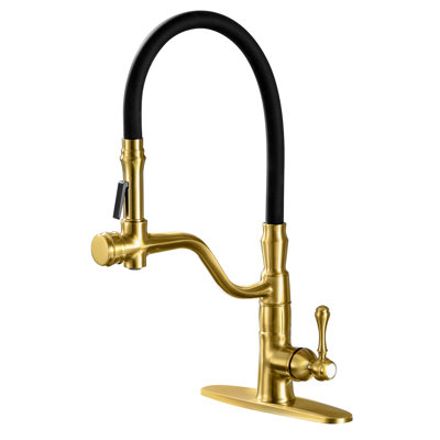 Pull Down Single Handle Kitchen Faucet with Gooseneck Silicone Hose and Solid Brass Design -  ABTIABGY, 16001BG