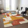 Machine Washable Indoor/Outdoor Cinead ACN1692 Coral Rug
