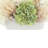 Spring Centerpiece with Hydrangeas and Pampas
