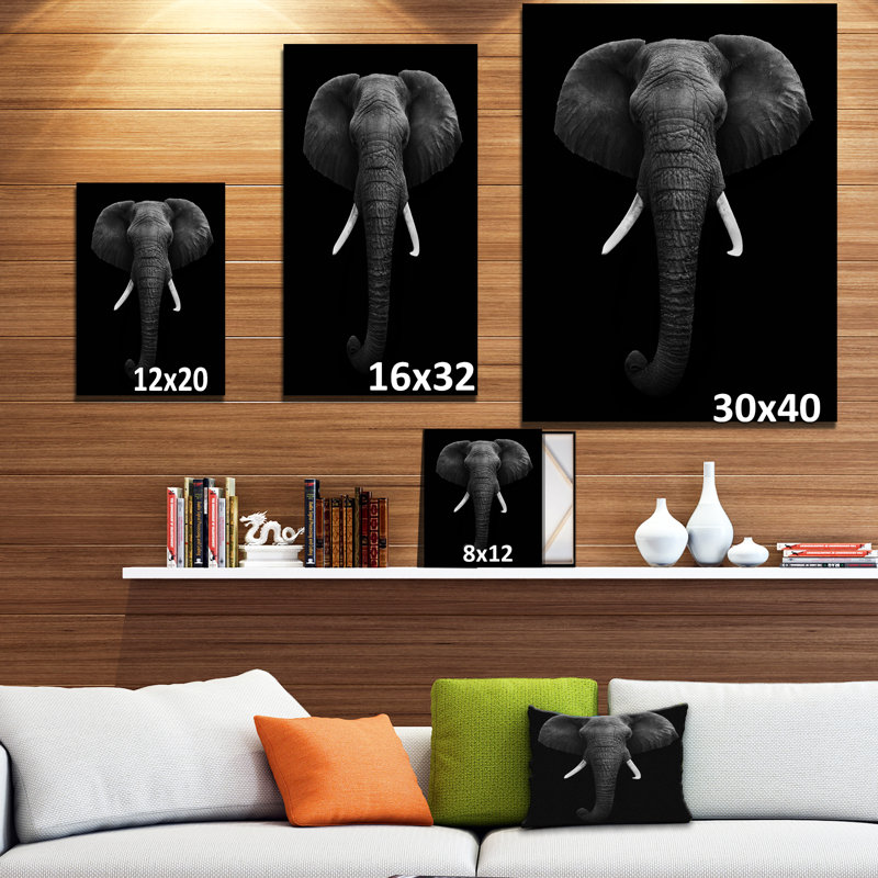 «Portrait d'un éléphant d'Afrique en noir et blanc, photographie d'art mural éléphant, H 20 po x l 12 po x P 1po