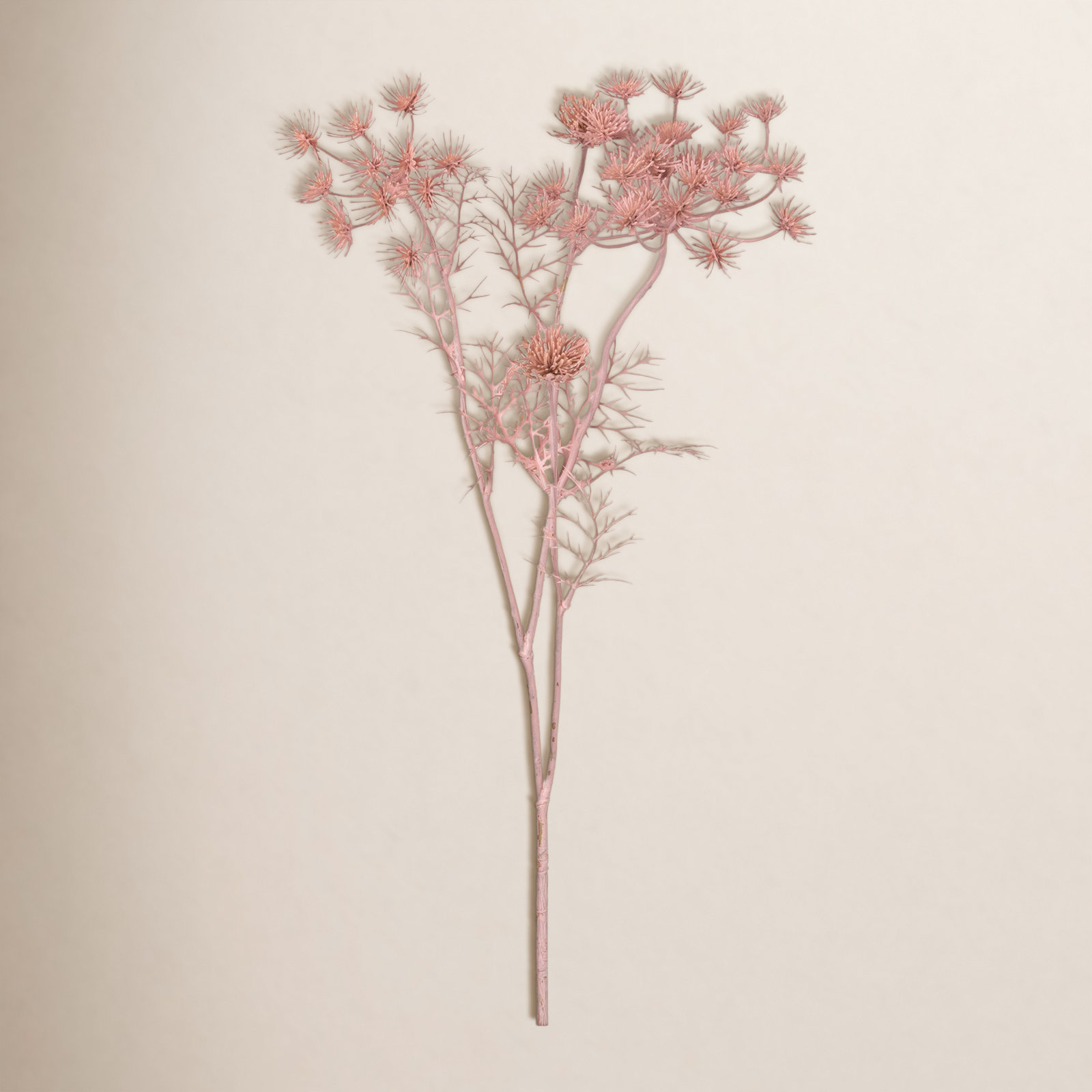 Madie Queen Anne's Lace Stems