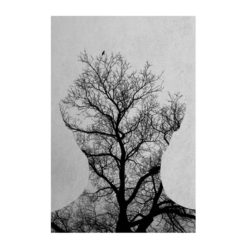 Tree Of Life by Andreas Lie - Print on Canvas, Wrapped Canvas, 66.04 cm H x 45.72 cm W x 3.175 cm D