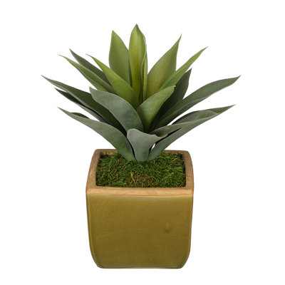 12'' Faux Succulent Plant in Ceramic Vase
