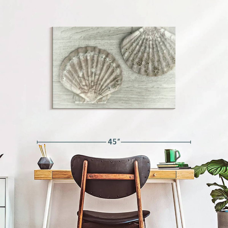 Aletra Two King Scallop Shells, 24" H x 36" W