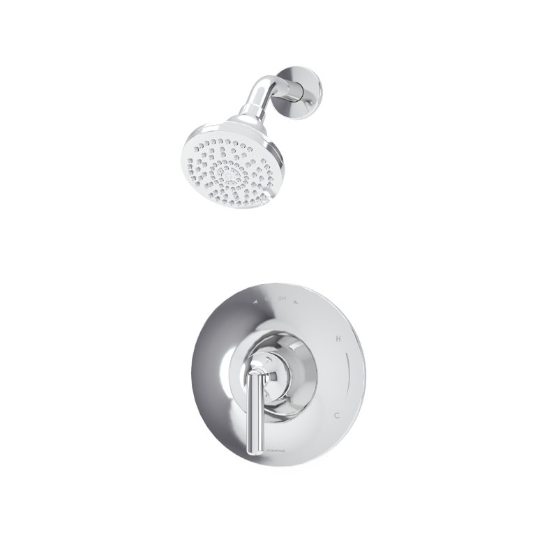 Ensemble de garniture de douche à poignée simple avec écusson Birch HydroMersion, Chrome poli